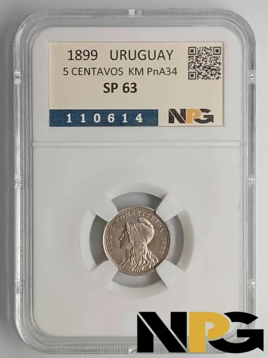 1899 Uruguay 5 Centavos