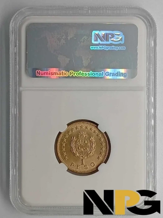 1965so Uruguay 1 Peso 1 - Uruguay