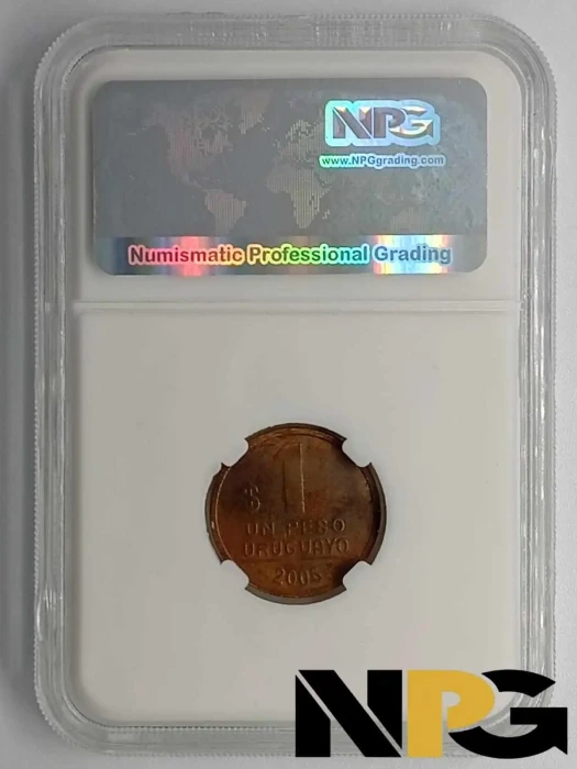 2005 Uruguay 1 Peso 1 - Uruguay