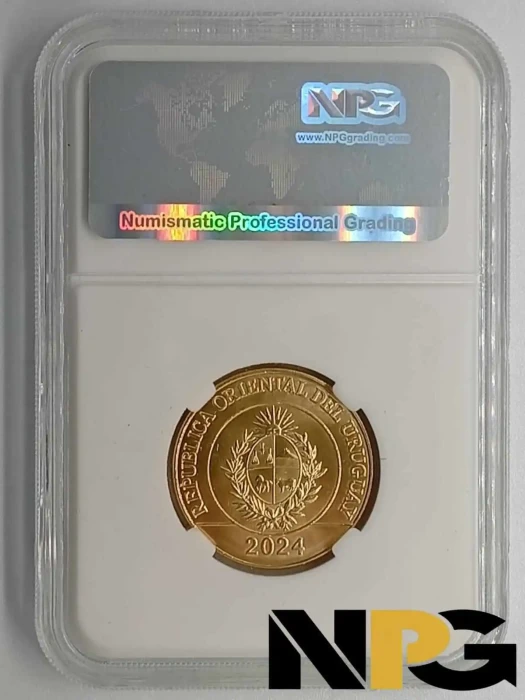 2024 Uruguay 5 Pesos -  1 - Uruguay